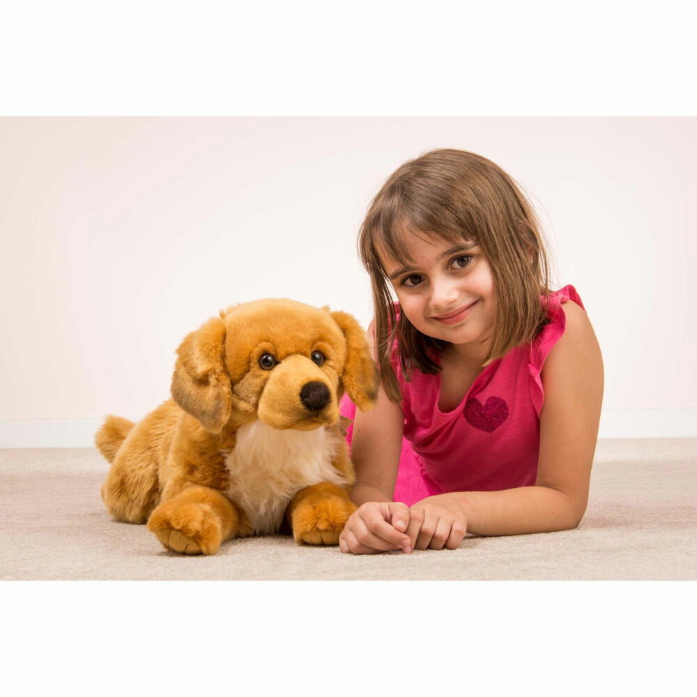 Teddy Hermann Golden Retriever, cuddly toy, stuffed toy, plush toy, dog, lying down, plush, golden brown, 60 cm, 91942