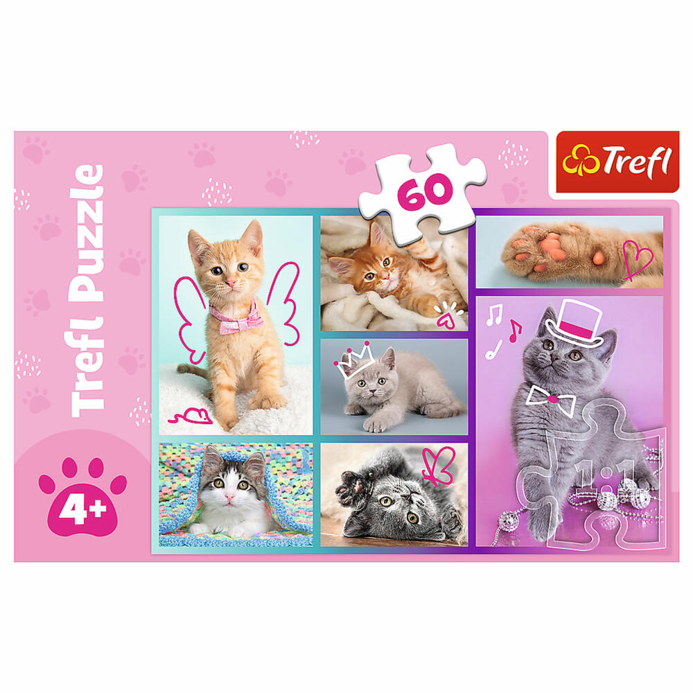 Trefl Puzzle Cats, children's puzzle, 60 pieces, 33 x 22 cm, 17373