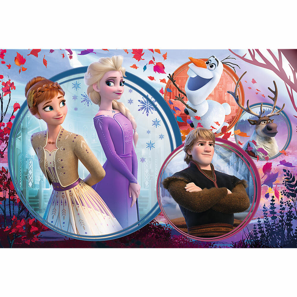 Trefl Puzzle Disney Frozen, children's puzzle, 160 pieces, 41 x 27.5 cm, 15374