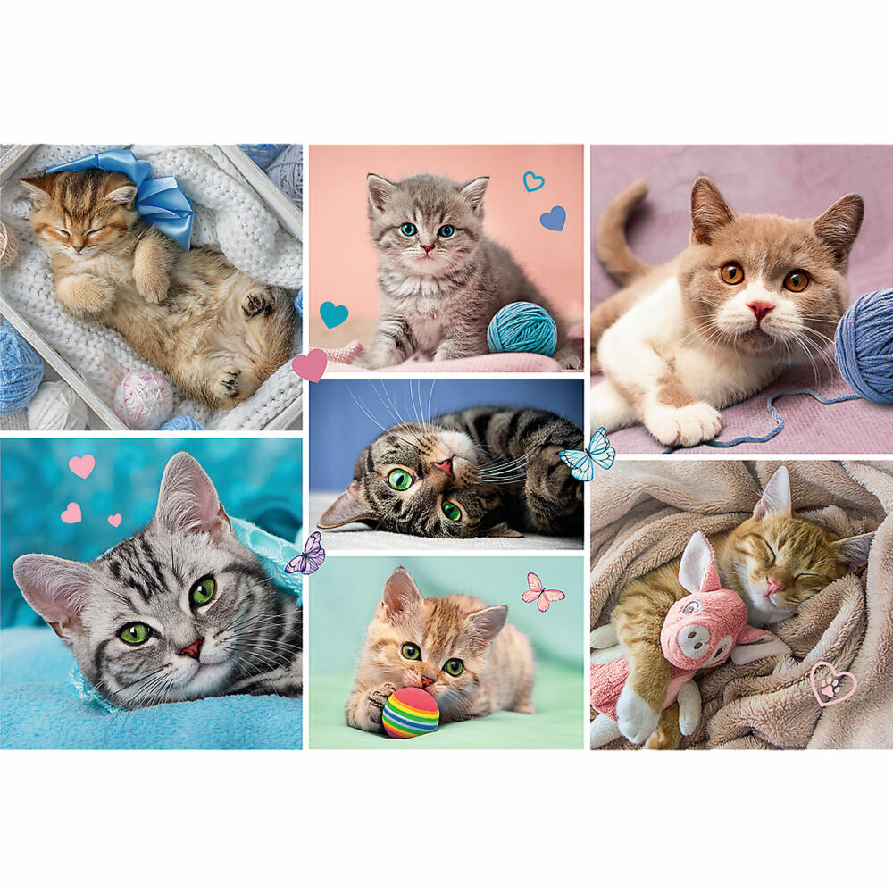 Trefl Puzzle Cat World, children's puzzle, 100 pieces, 41 x 27.5 cm, 16420