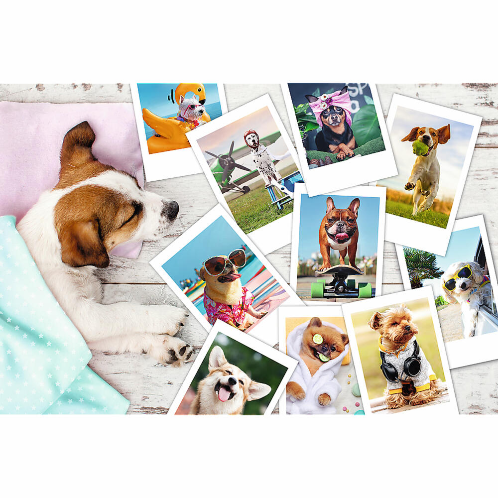 Trefl Puzzle Dogs Holiday Photos, Children's Puzzle, 300 Pieces, 60 x 40 cm, 23003