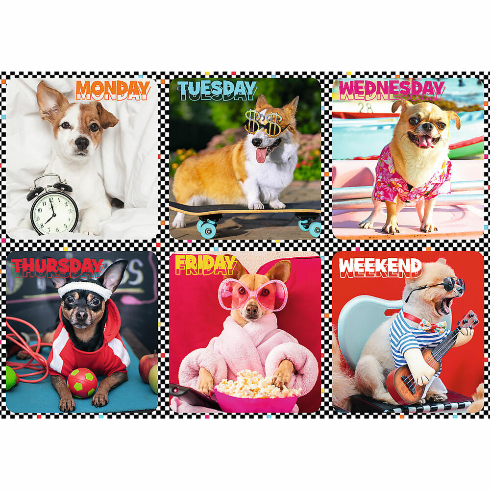 Trefl Puzzle Happy Dogs, children's puzzle, 200 pieces, 48 x 34 cm, 13279