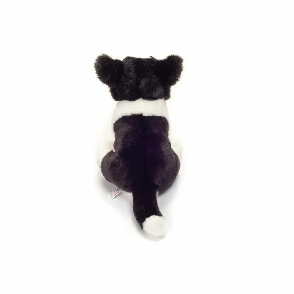 Teddy Hermann Border Collie Welpe sitzend, Plüschtier, Kuscheltier, Hund, Haustier, Hündchen, Plüsch, Schwarz-Weiß, 25 cm, 919599