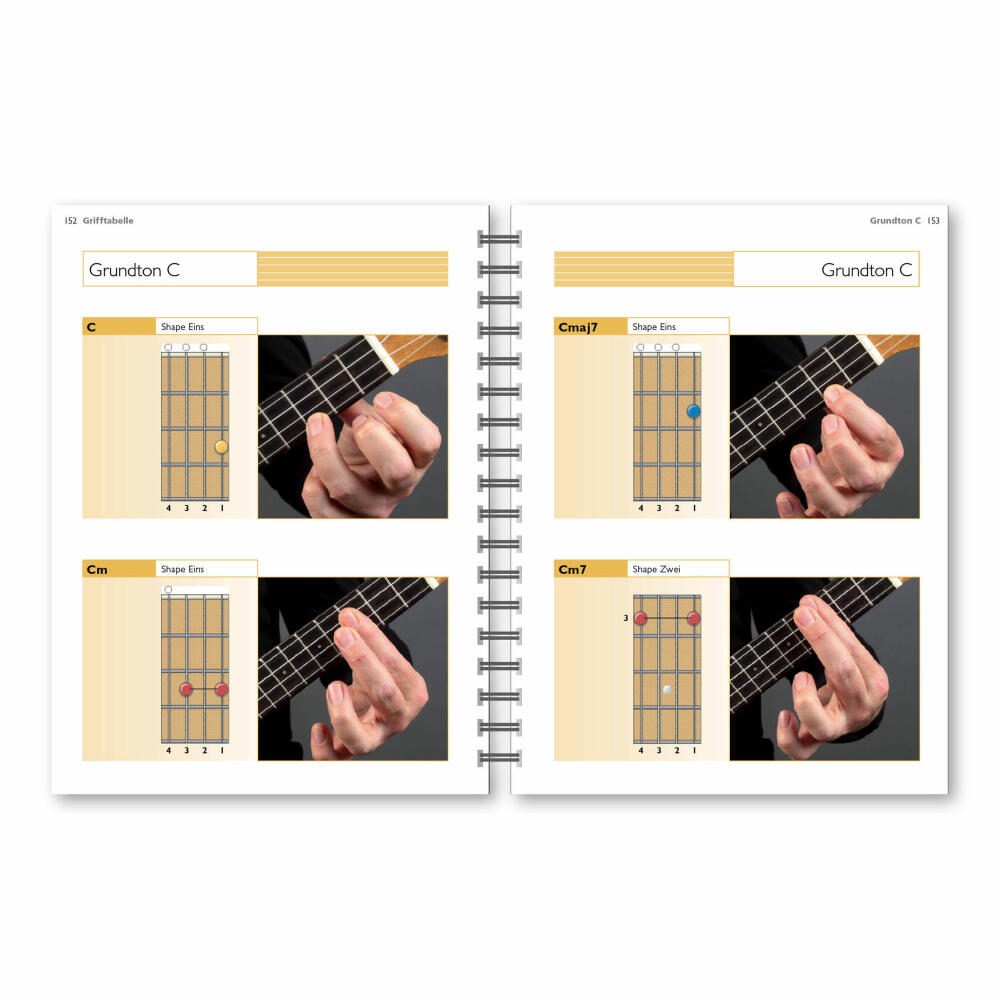 Voggenreiter Ukulelen Set, 3-tlg., Outdoor-Ukulele, Gitarre, Der Komplettkurs, Ukulelenschule