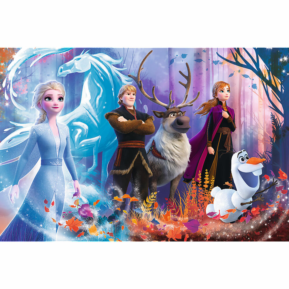 Trefl Puzzle Disney Frozen, children's puzzle, 100 pieces, 41 x 27.5 cm, 16366