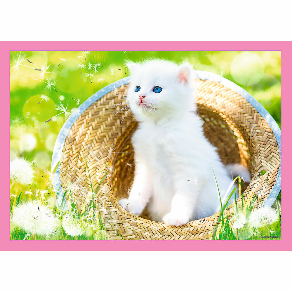 Trefl 4 in 1 puzzle - cats, 35 + 48 + 54 + 70 pieces, 28.5 x 20.5 cm, 34396