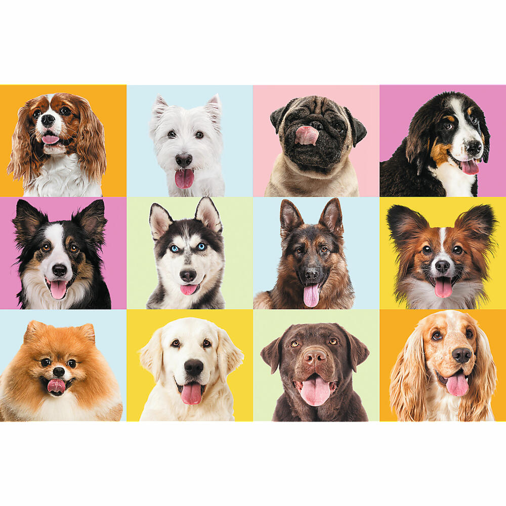 Trefl Puzzle Dogs, children's puzzle, 60 pieces, 33 x 22 cm, 17374