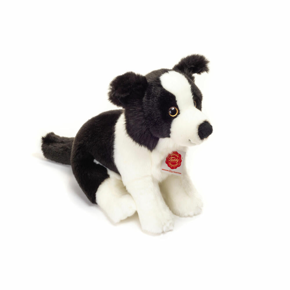 Teddy Hermann Border Collie Welpe sitzend, Plüschtier, Kuscheltier, Hund, Haustier, Hündchen, Plüsch, Schwarz-Weiß, 25 cm, 919599