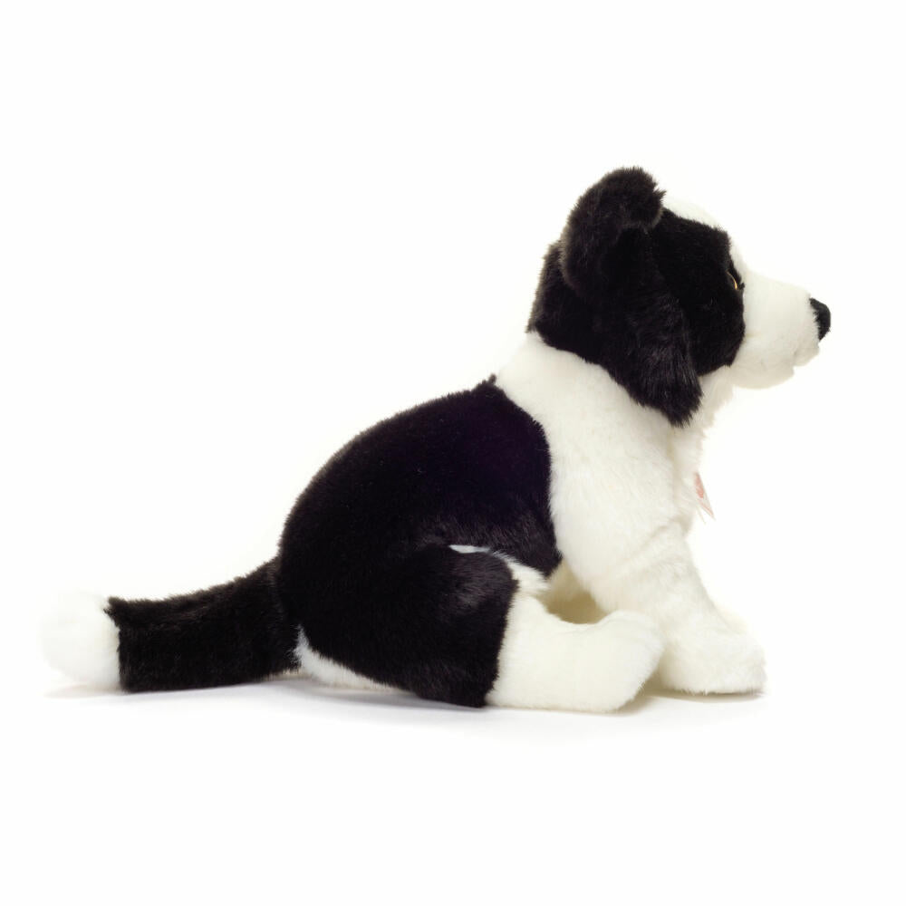 Teddy Hermann Border Collie Welpe sitzend, Plüschtier, Kuscheltier, Hund, Haustier, Hündchen, Plüsch, Schwarz-Weiß, 25 cm, 919599