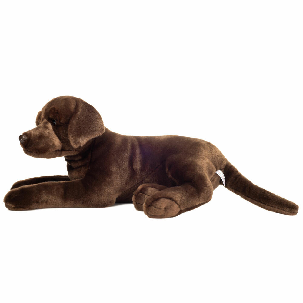 Teddy Hermann Labrador, cuddly toy, stuffed toy, plush toy, dog, chocolate brown, 50 cm, 919889