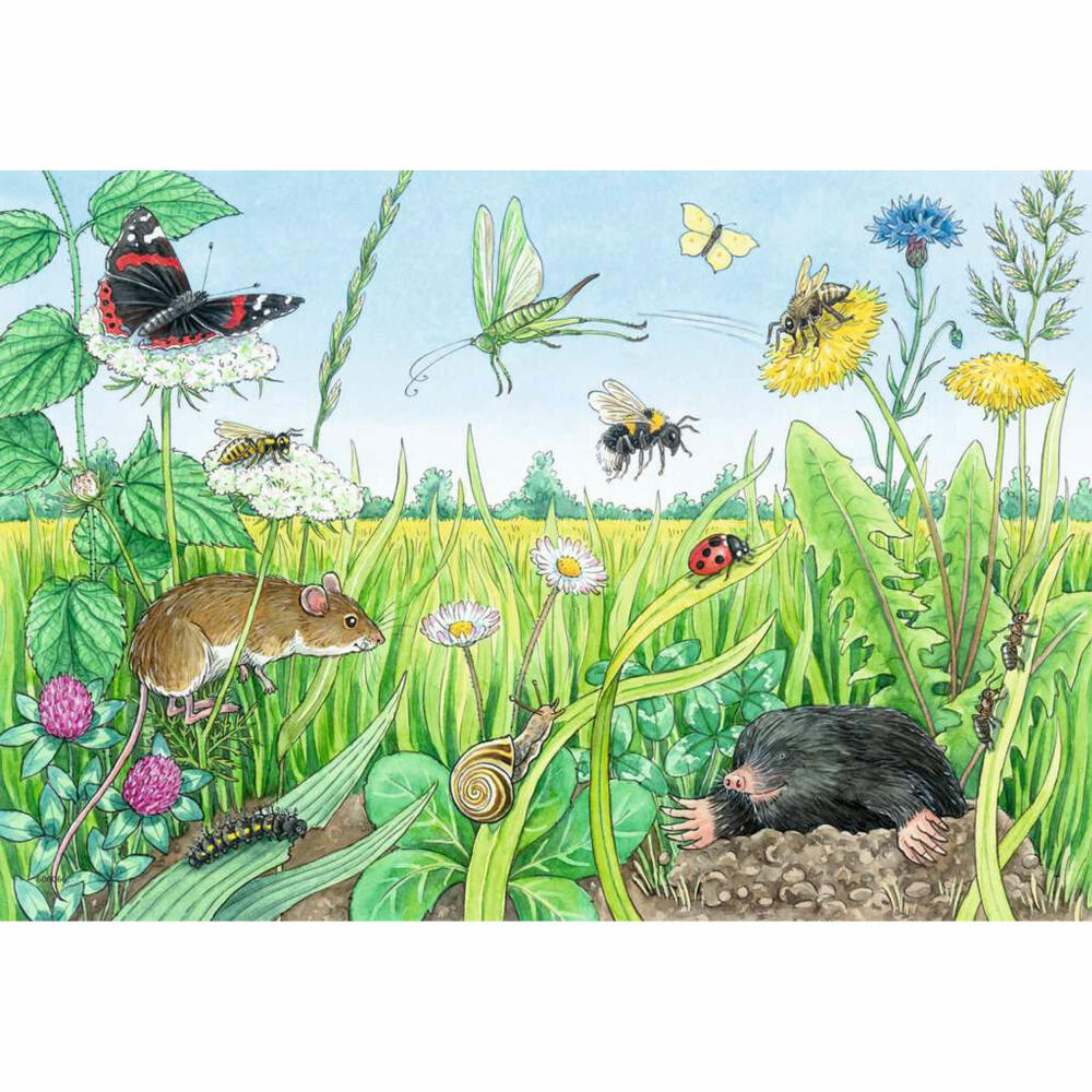 Ravensburger Why? What for? What reason? Animals in the forest and on the meadow, puzzle, children's puzzle, laying game, 2 x 12 pieces, 05673