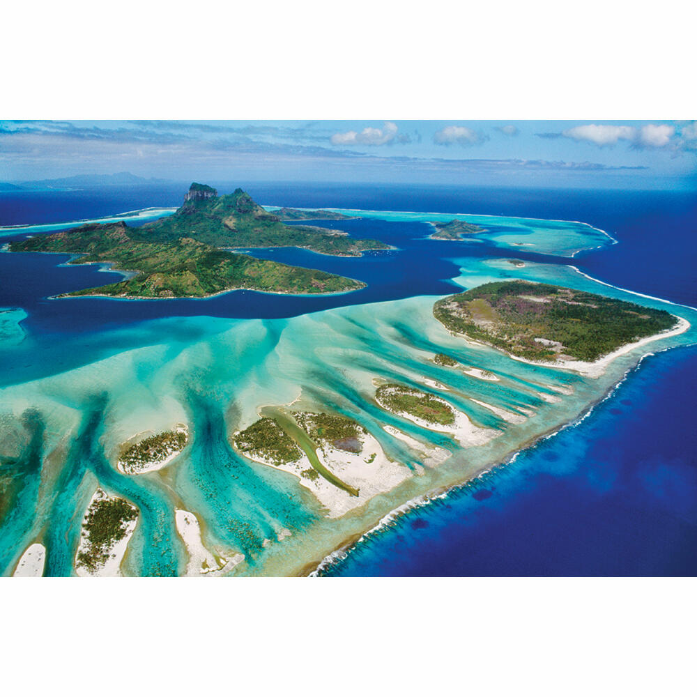 Eurographics Puzzle Save the Planet - Coral Reef, 1000 pieces, 68 x 48 cm, 6000-5538