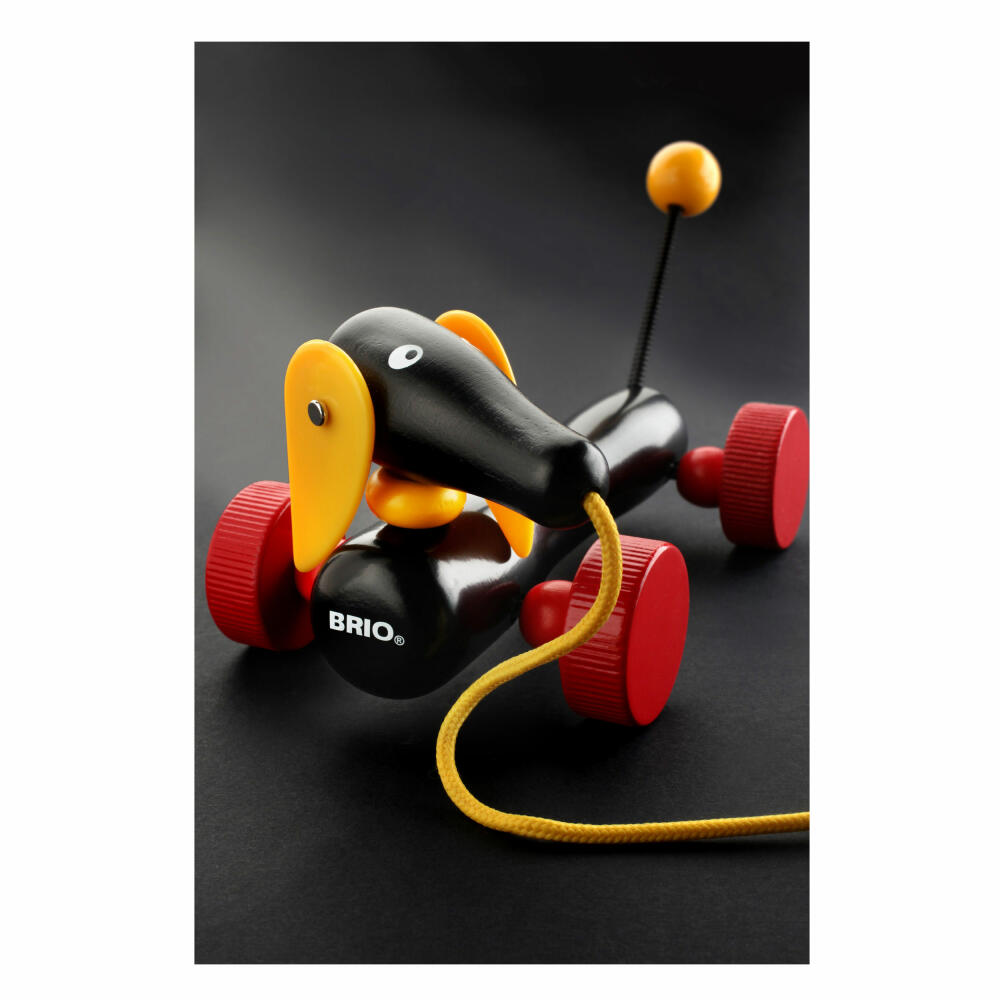 BRIO Dachshund, pull-along toy, pull-along toy, pull-along animal, wooden toy, wooden toy, toddler, 30332