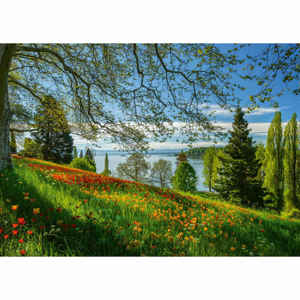 Schmidt Spiele Frühlingsallee zur Tulpenblüte Insel Mainau, Standard Puzzle, Erwachsenenpuzzle, 1000 Teile, 58967