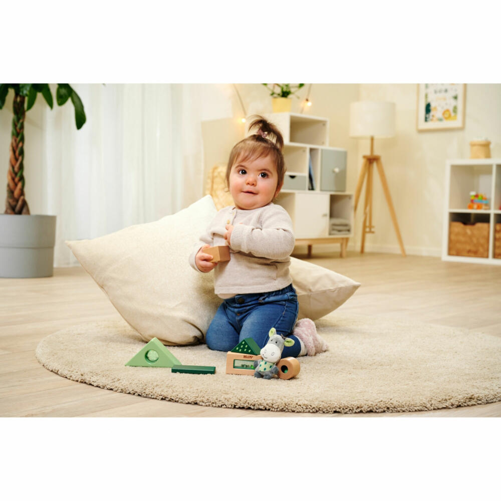 Eichhorn Baby HiPP Sound Building Blocks, Sound Building Blocks, Building Blocks, Building Blocks, Toys, 100005865