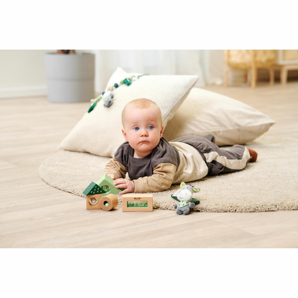 Eichhorn Baby HiPP Sound Building Blocks, Sound Building Blocks, Building Blocks, Building Blocks, Toys, 100005865