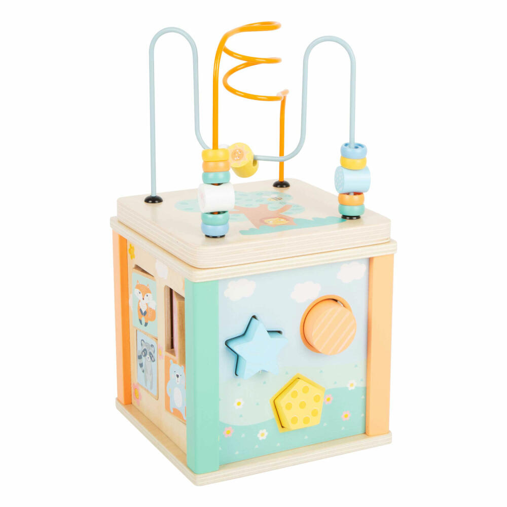 Legler Motor Skills Cube Pastel, Toy, from 12 months, 11724