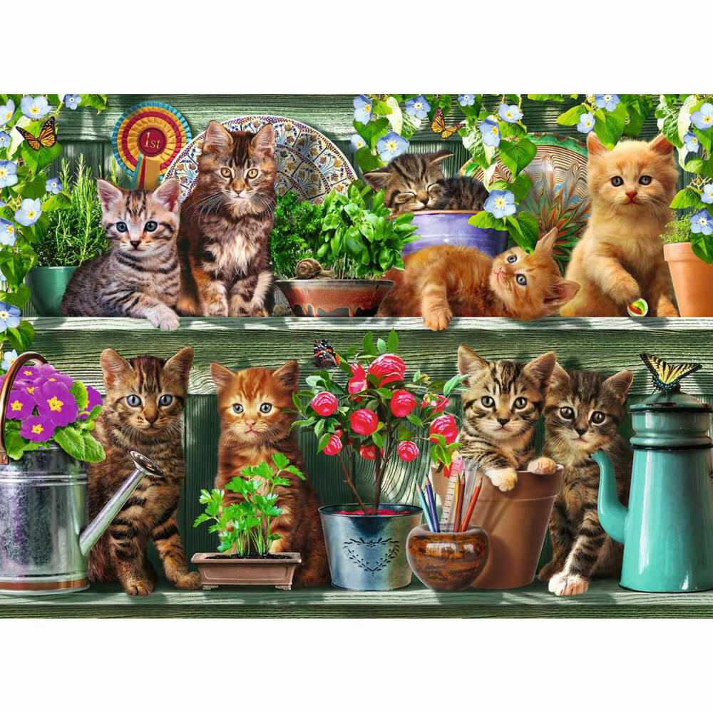 Ravensburger Puzzle Katzen im Regal, Erwachsenenpuzzle, 500 Teile, 12000205