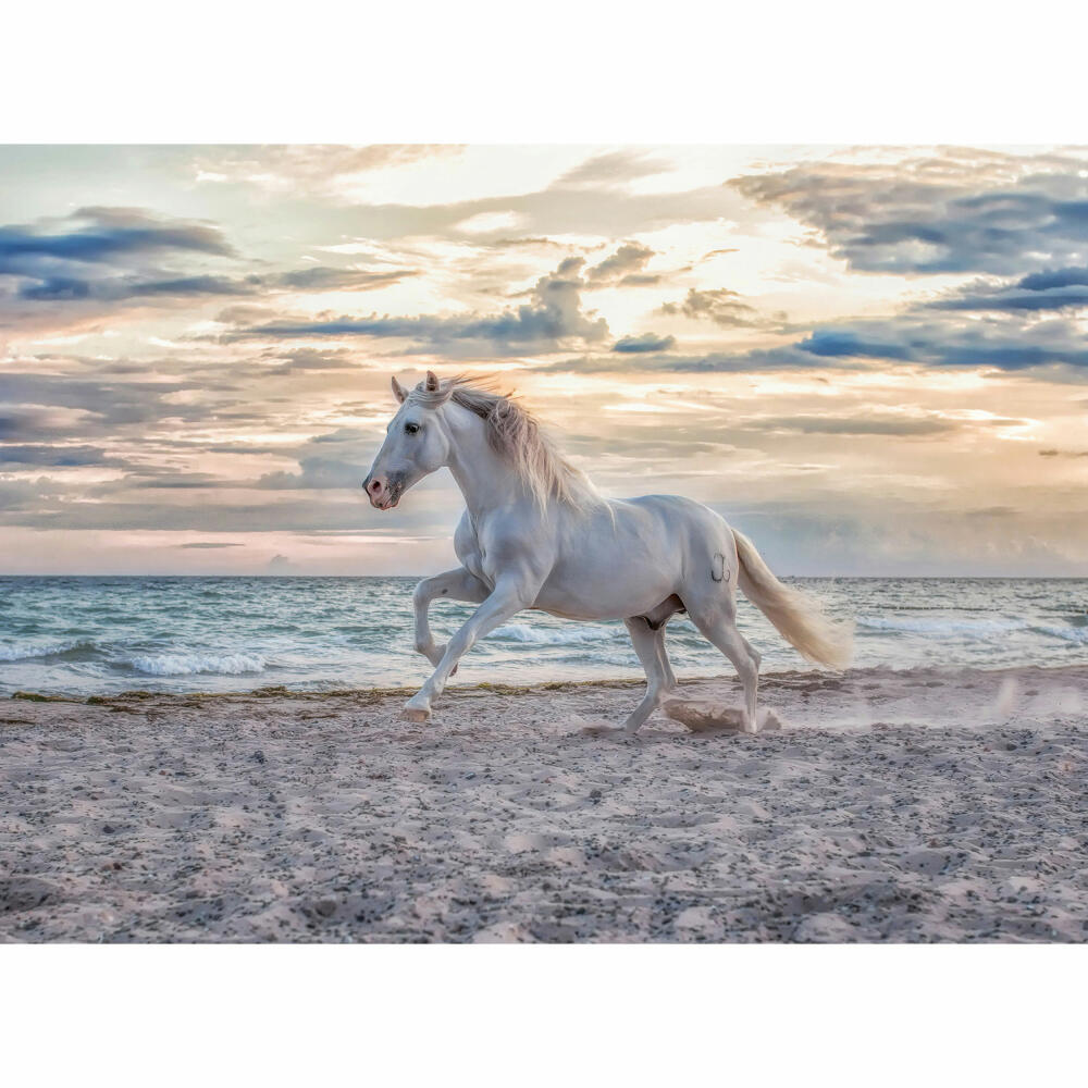 Ravensburger Puzzle Horse on the Beach, Adult Puzzle, Adult Puzzles, Standard, 500 Pieces, 16586