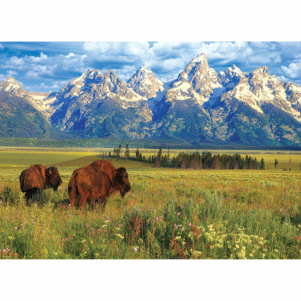 Eurographics Puzzle Grand Teton National Park, Smart Cut, 1000 Teile, 68 x 48 cm, 6000-5474