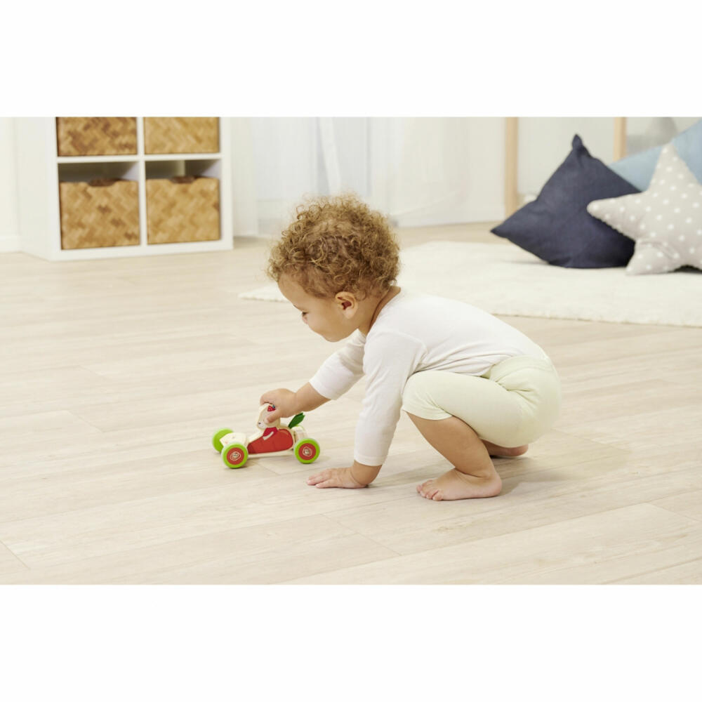 Eichhorn push vehicle, push toy, vehicle, children's toy, children's toy, 100005468