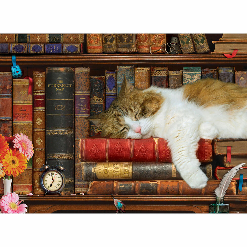 Eurographics Puzzle Katzennickerchen, Kätzchen, 500 Teile, 68 x 48 cm, 6500-5545