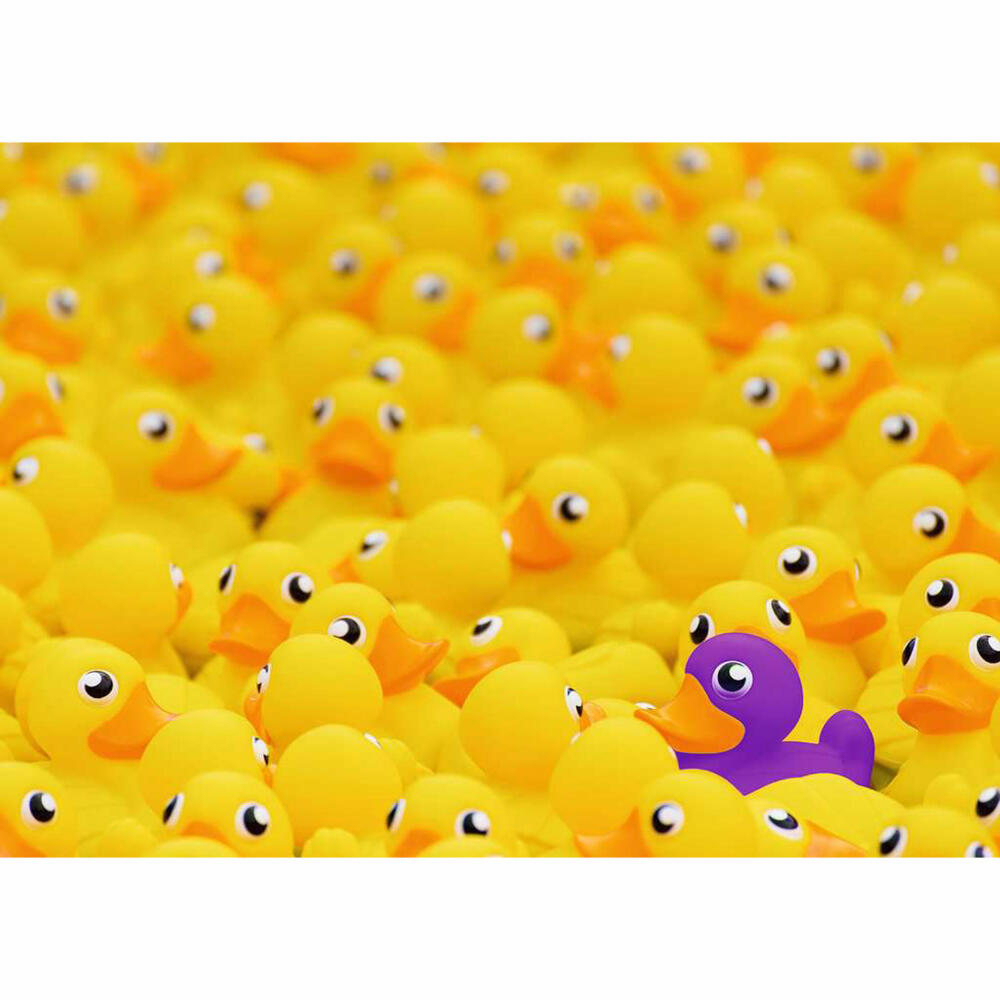 Ravensburger Puzzle Quietscheenten, Erwachsenenpuzzle, 1000 Teile, 12000587
