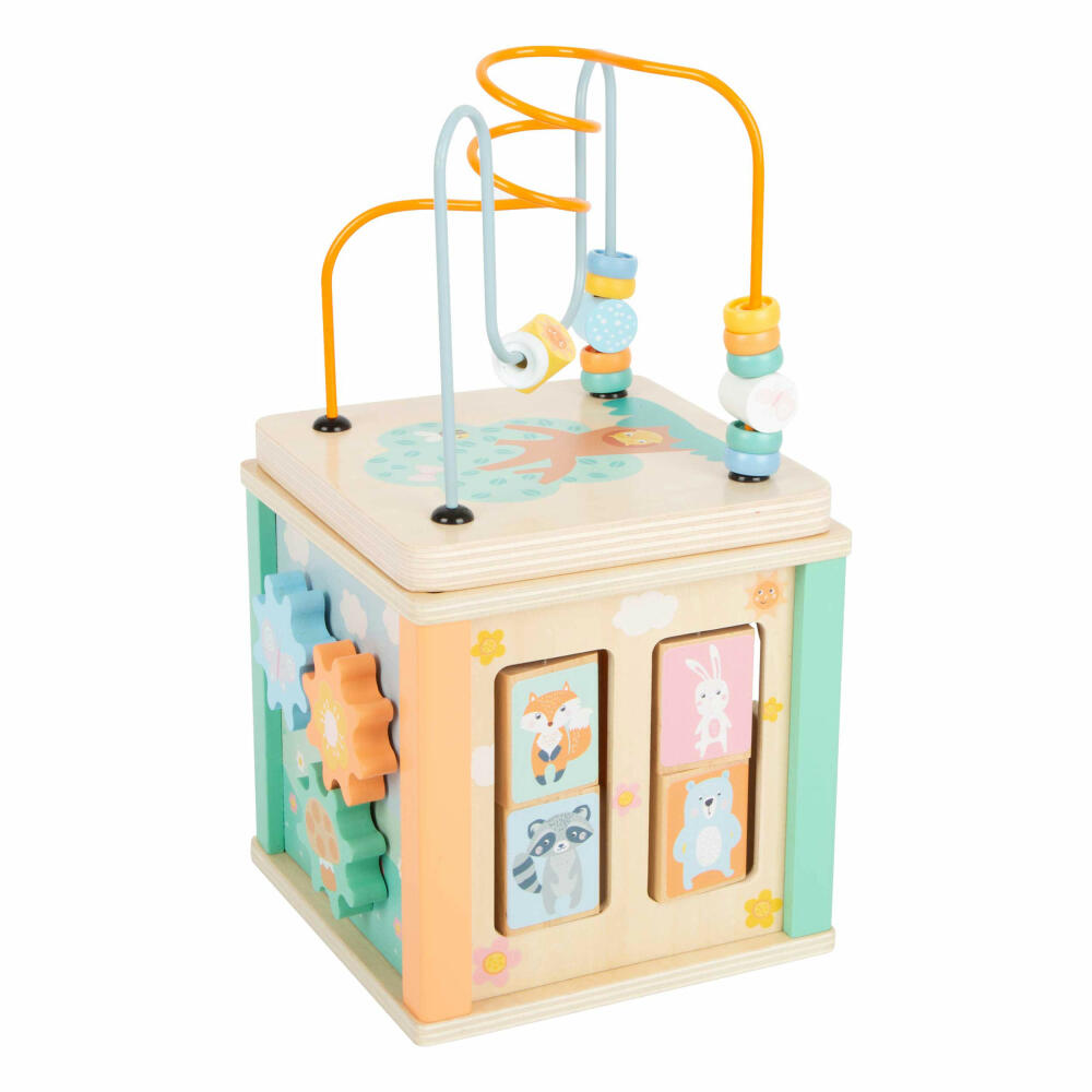 Legler Motor Skills Cube Pastel, Toy, from 12 months, 11724