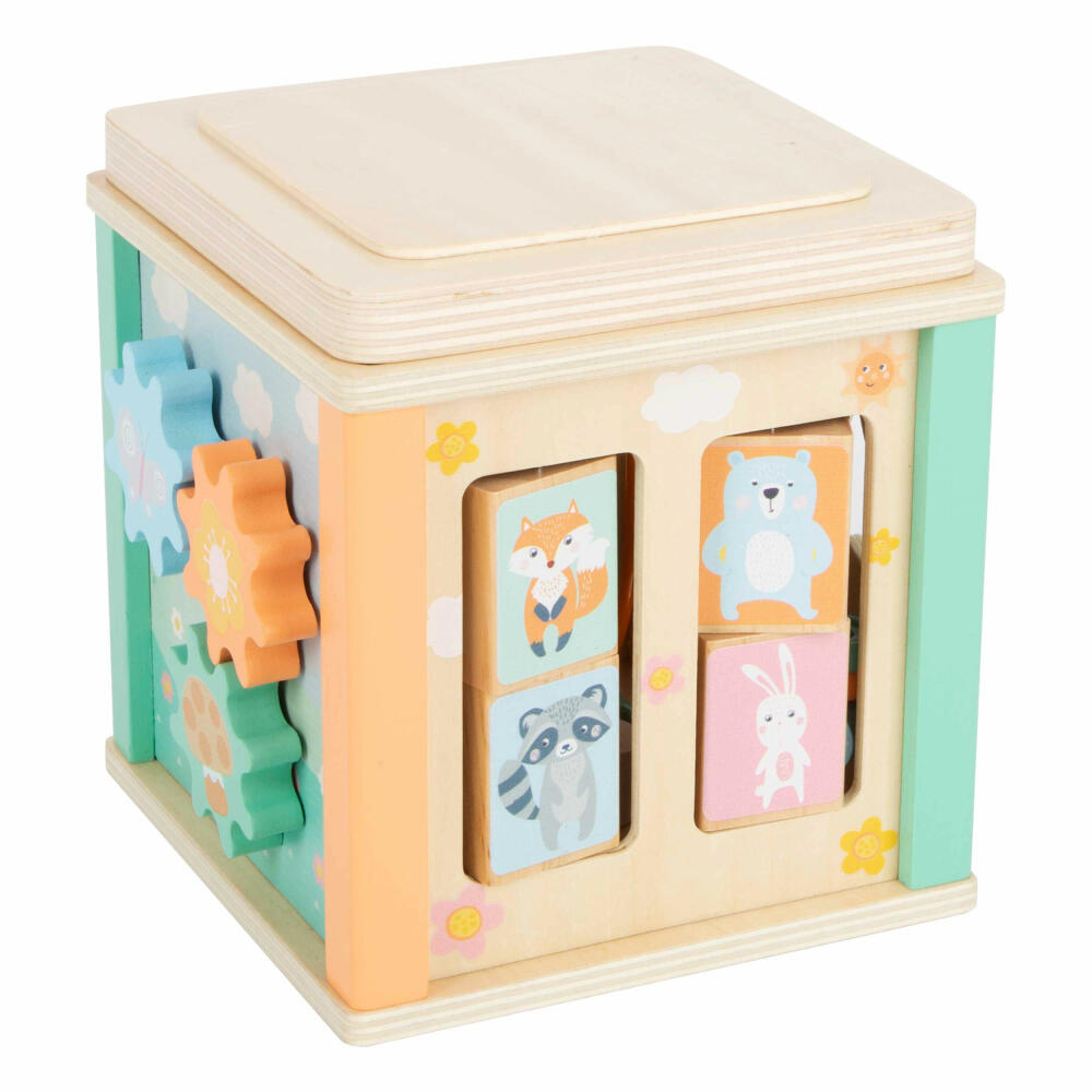 Legler Motor Skills Cube Pastel, Toy, from 12 months, 11724