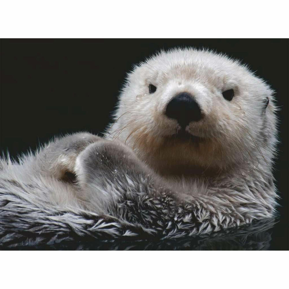 Ravensburger Puzzle Süßer kleiner Otter, Erwachsenenpuzzle, 500 Teile, 12000235