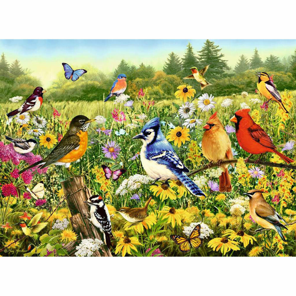 Ravensburger Puzzle Vogelwiese, Erwachsenenpuzzle, 500 Teile, 12000336