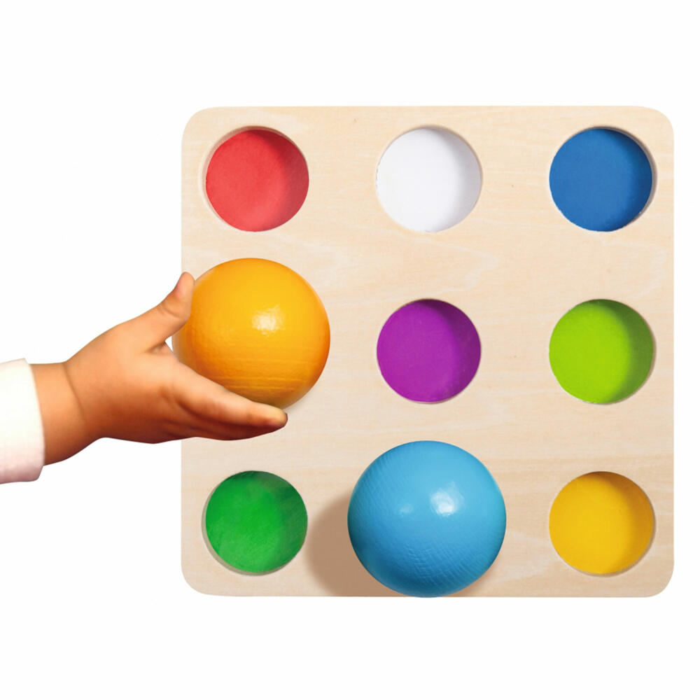 Eichhorn ball sorting game, learning colors, educational toy, color sorting game, toy, 100003462