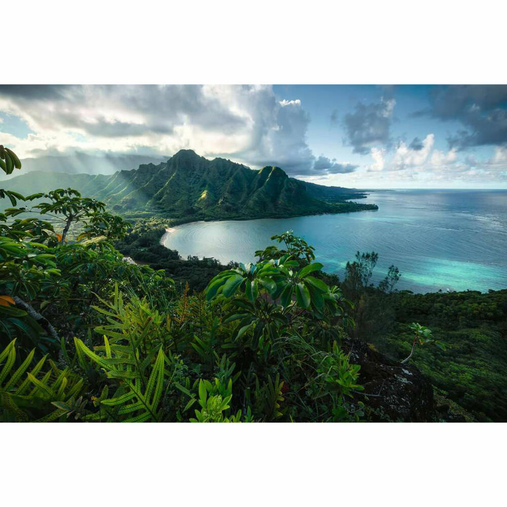 Ravensburger Puzzle Breathtaking Hawaii, Adult Puzzle, 5000 Pieces, 16106