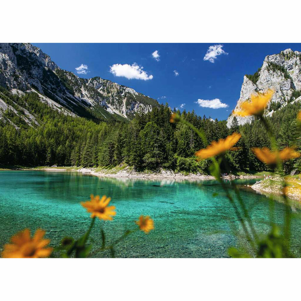 Ravensburger Puzzle Grüner See bei Tragöß, Erwachsenenpuzzle, 1000 Teile, 12000563