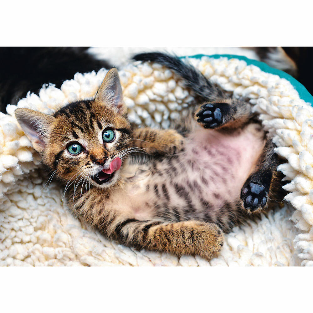 Trefl Puzzle Fröhliche Katze, 1000 Teile, 68.3 x 48 cm, 10448