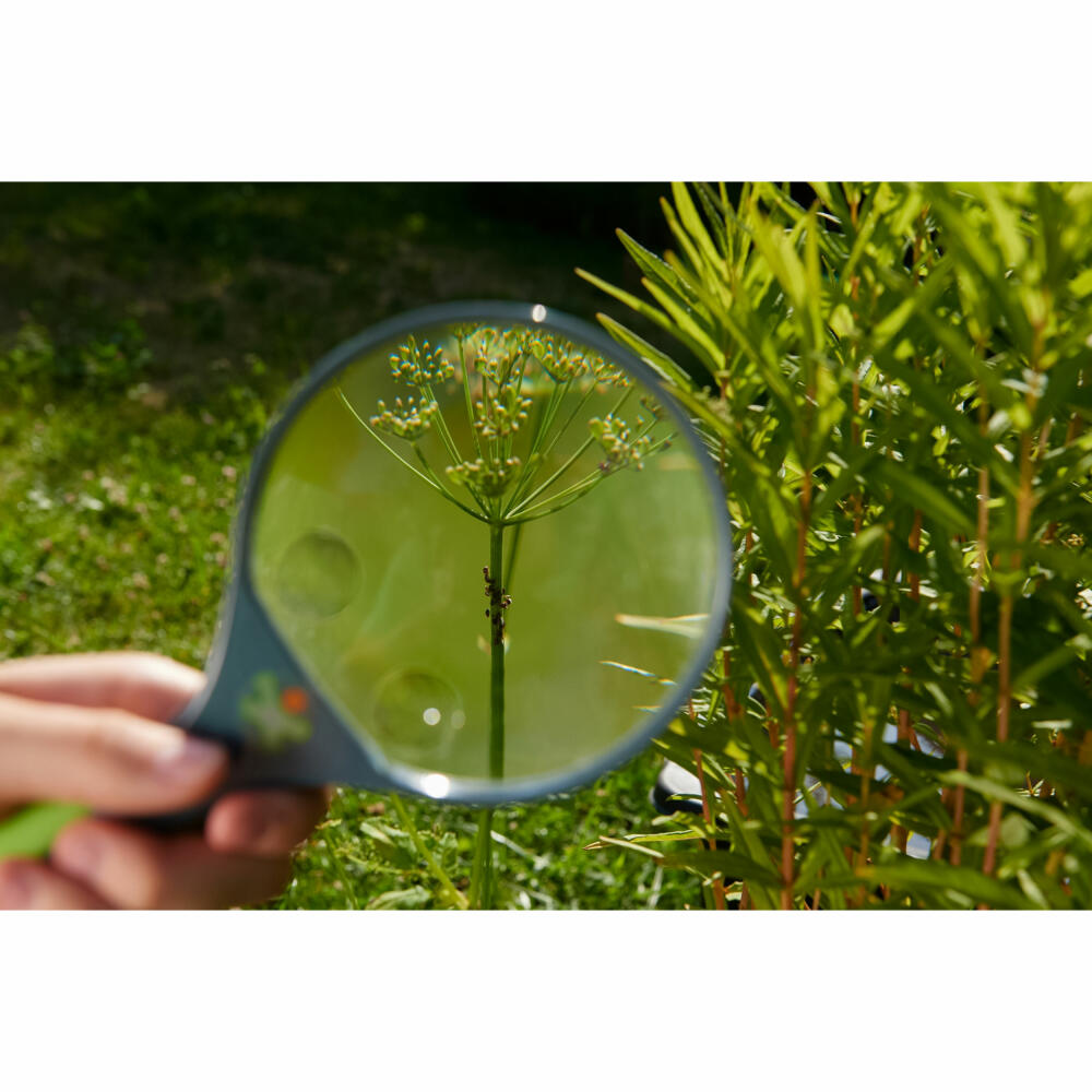 HABA Terra Kids Kinder-Lupe, Kinderlupe, Handlupe, Vergrößerungsgerät, Kinder, 1303529001