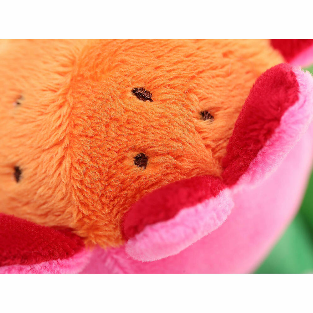 sigikid PlayQ Wende-Käfer, Greifling, Rasselkäfer, Rassel, Blume, Babyspielzeug, Baby Spielzeug, Polyester, 40887