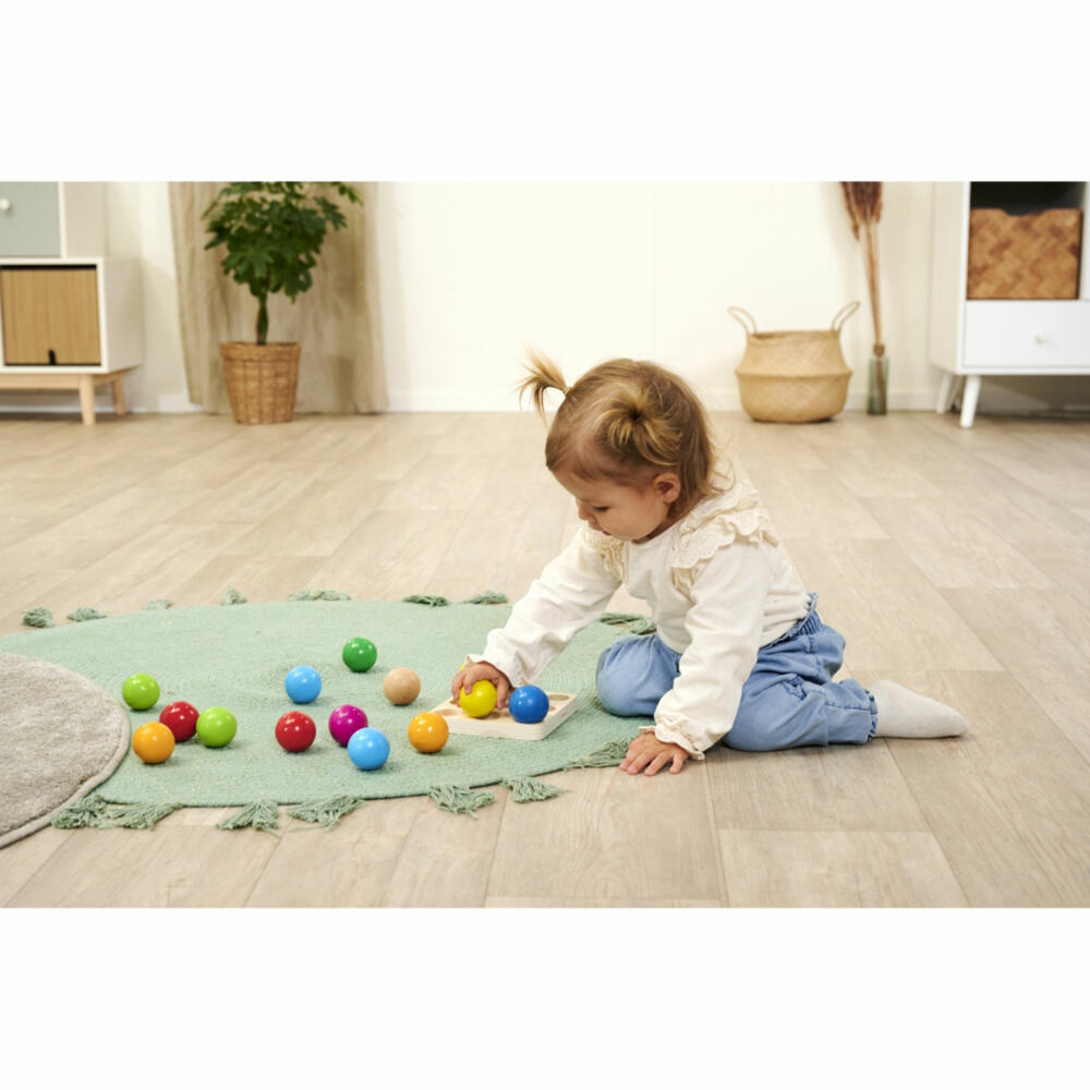 Eichhorn ball sorting game, learning colors, educational toy, color sorting game, toy, 100003462