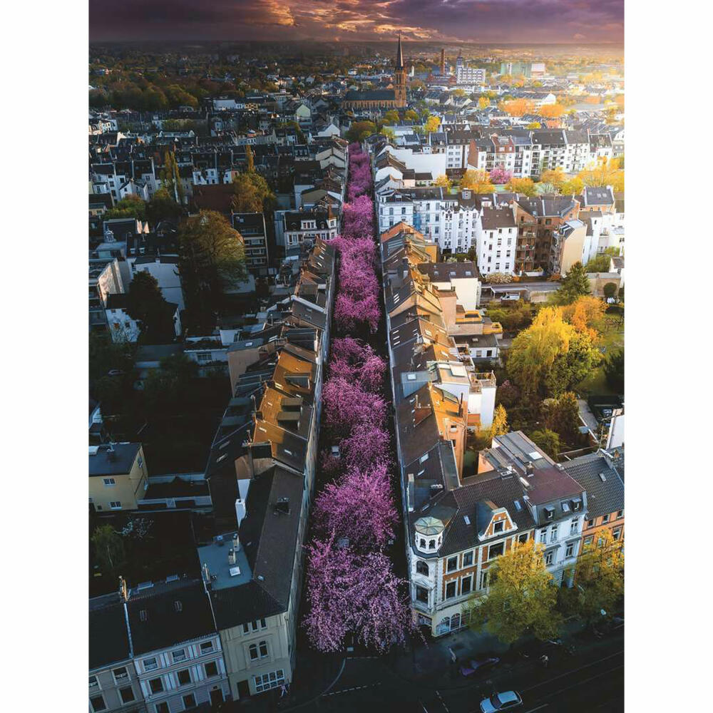 Ravensburger Puzzle Blühendes Bonn, Erwachsenenpuzzle, 1500 Teile, 12000730