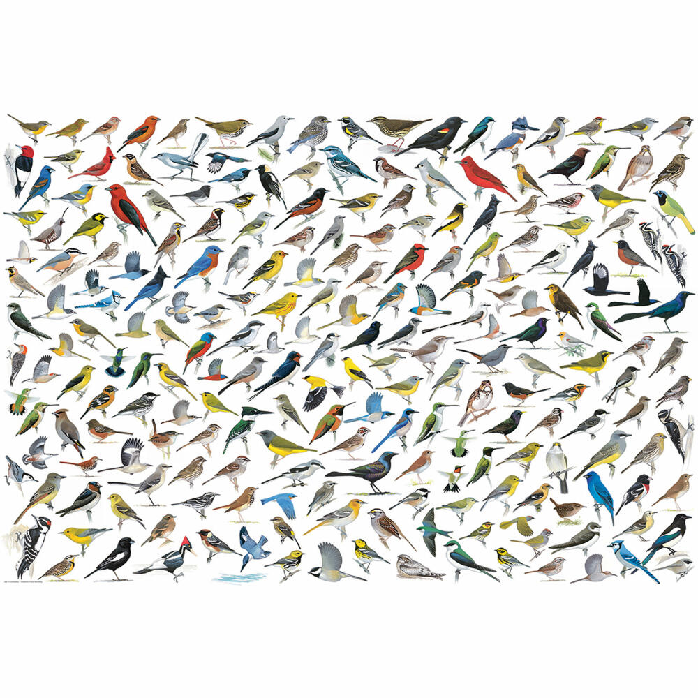 Eurographics Puzzle Vogelwelt, Vögel, 2000 Teile, 67.6 x 96.8 cm, 8220-0821