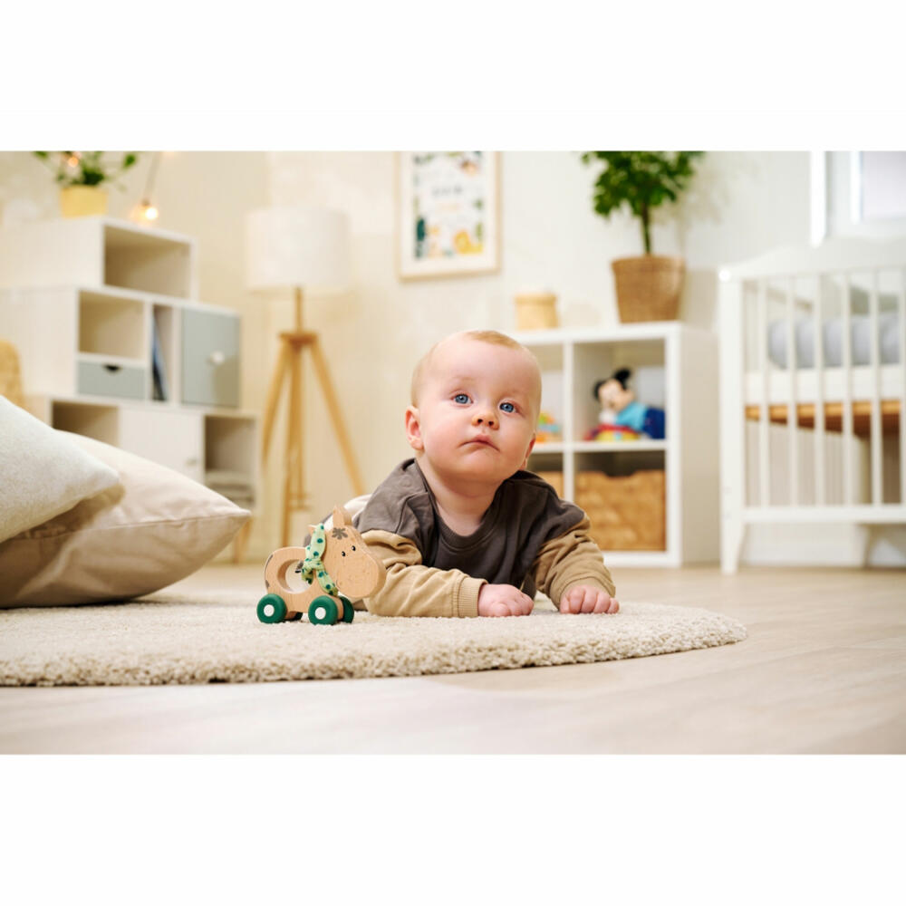Eichhorn Baby HiPP Push-Donkey, Push-along Animal, Push-along Toy, Toy, 100005867
