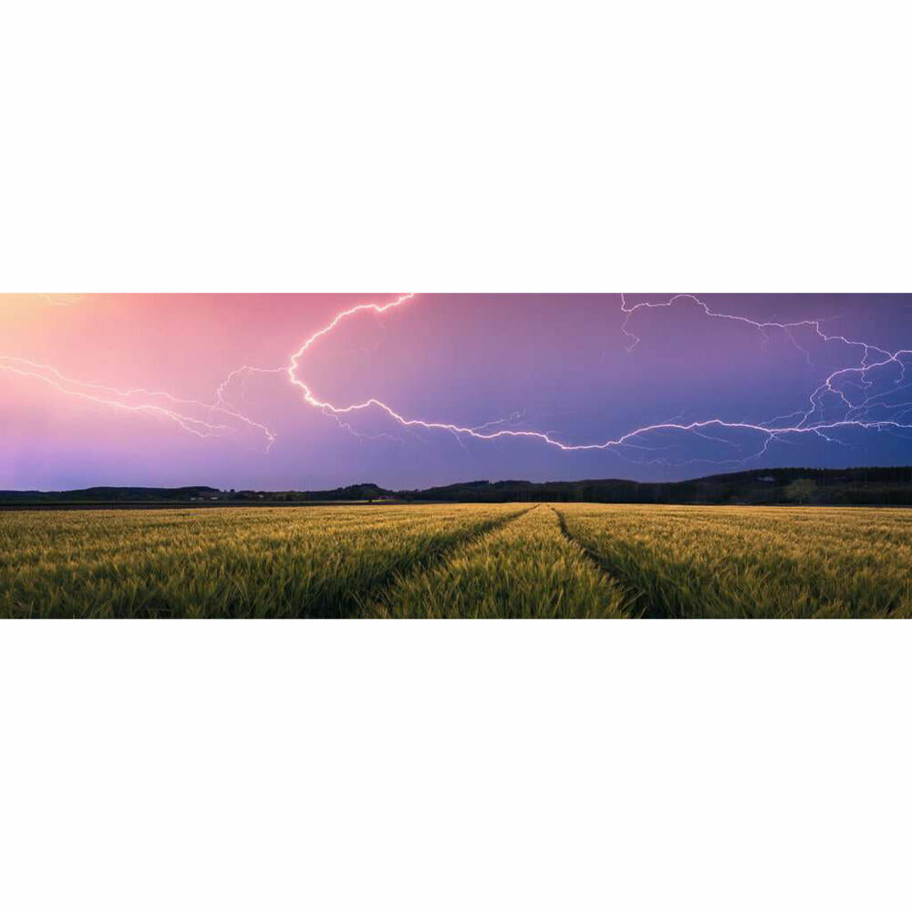 Ravensburger Puzzle Summer Thunderstorm, Adult Puzzle, 500 Pieces, 12000685