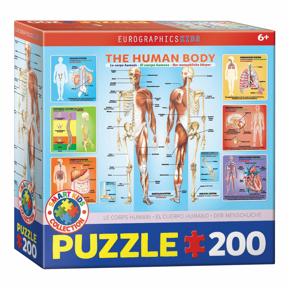 Eurographics Puzzle Der menschliche Körper, 200 Teile, 48 x 33 cm, 6200-1000