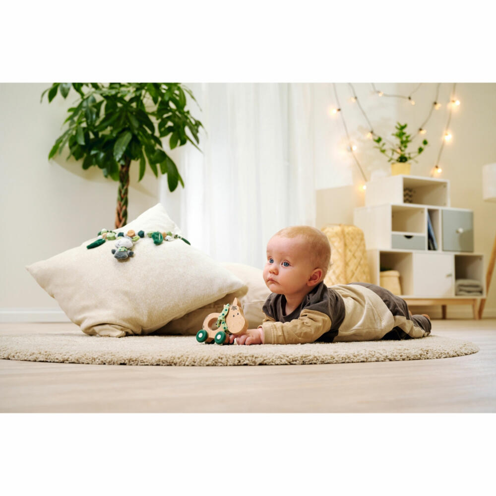 Eichhorn Baby HiPP Push-Donkey, Push-along Animal, Push-along Toy, Toy, 100005867
