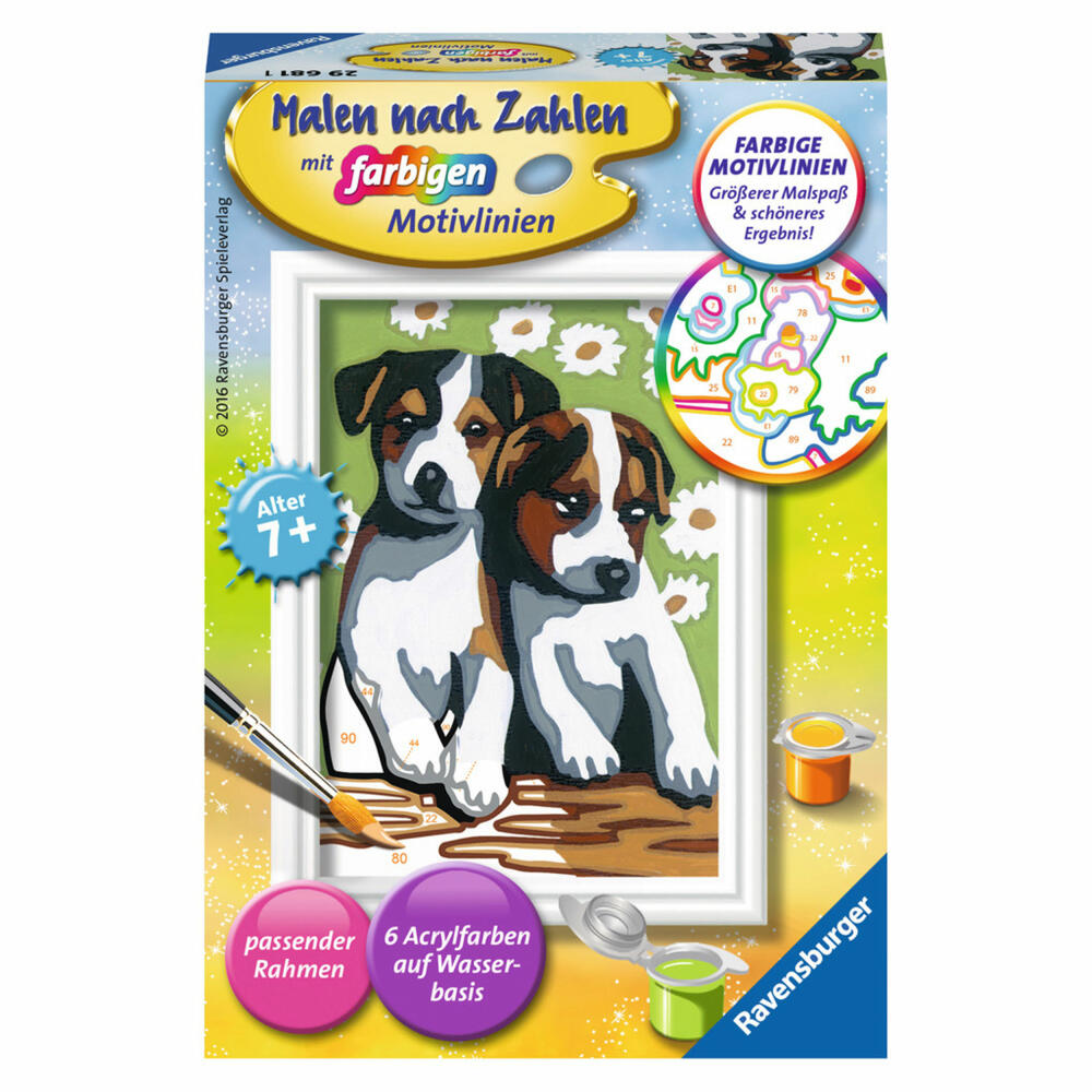 Ravensburger Malen Nach Zahlen Süße Welpen, Mal Set, Malvorlage, Vorlage, Bild, Kinder, Farbige Motivlinien, 29681 1