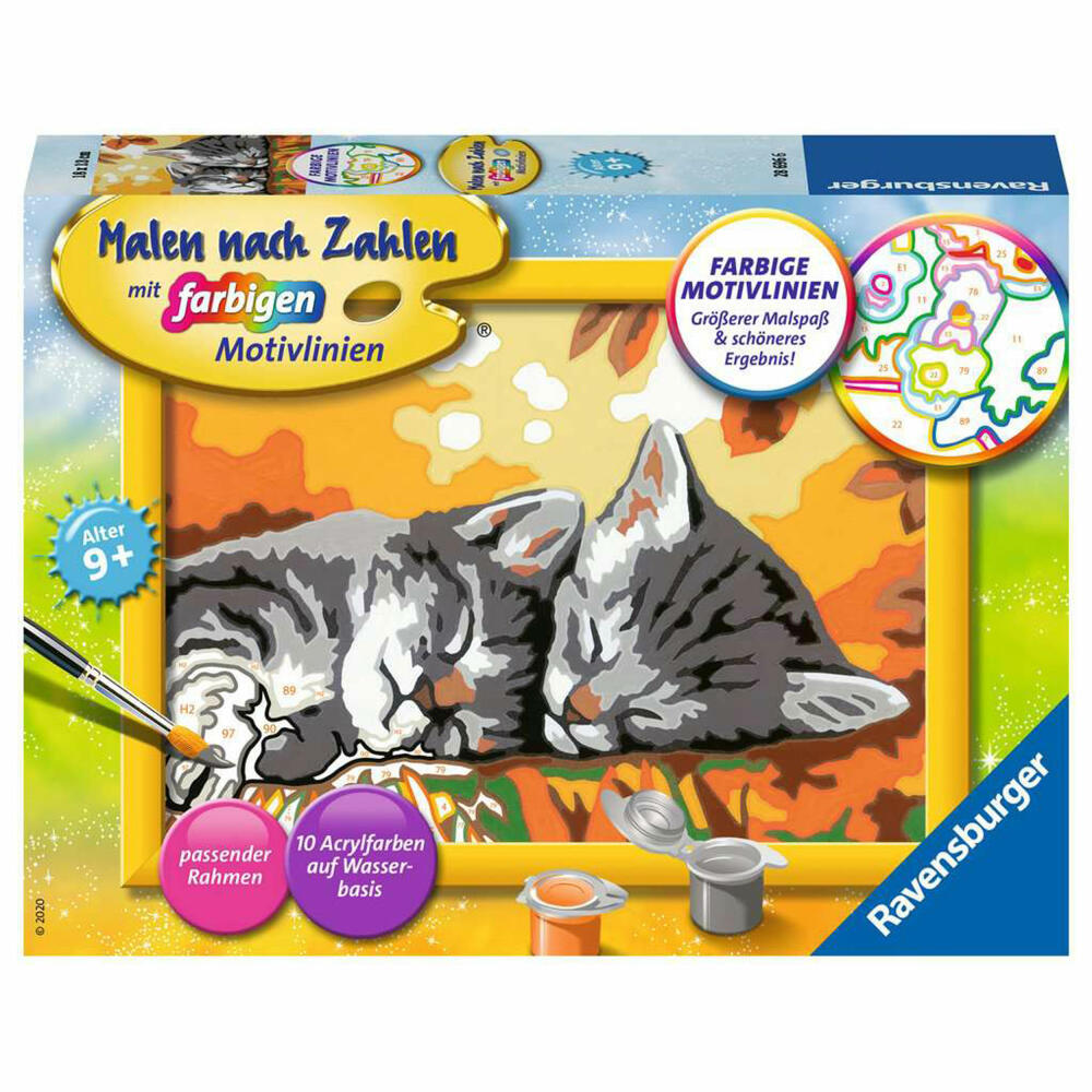 Ravensburger Malen nach Zahlen Kätzchen im Herbst, Mal-Set für Kinder, 28696