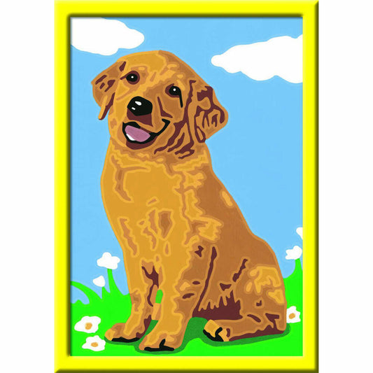Ravensburger Malen nach Zahlen Kleiner Golden Retriever, Mal Set, Malvorlage, Bild, Farbige Motivlinien, 28511