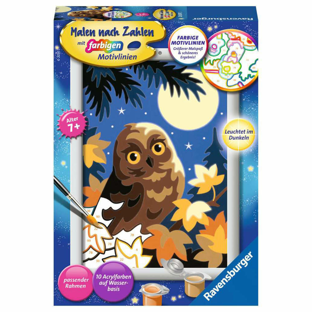 Ravensburger Malen nach Zahlen Eule im Mondschein, Mal-Set für Kinder, 28697