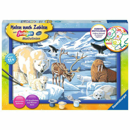 Ravensburger Paint by Numbers Animals of the Arctic, Painting Set for Children, 28909