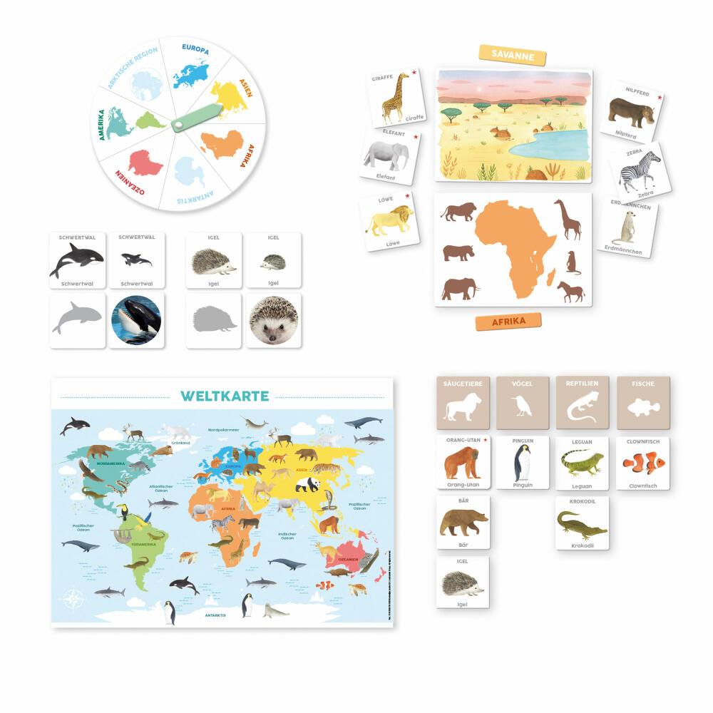 Jumbo Spiele Ich lerne Entdecken - Tiere, Lernspiel, Kinderspiel, Kinder Spiel, ab 3 Jahren, 1110100047